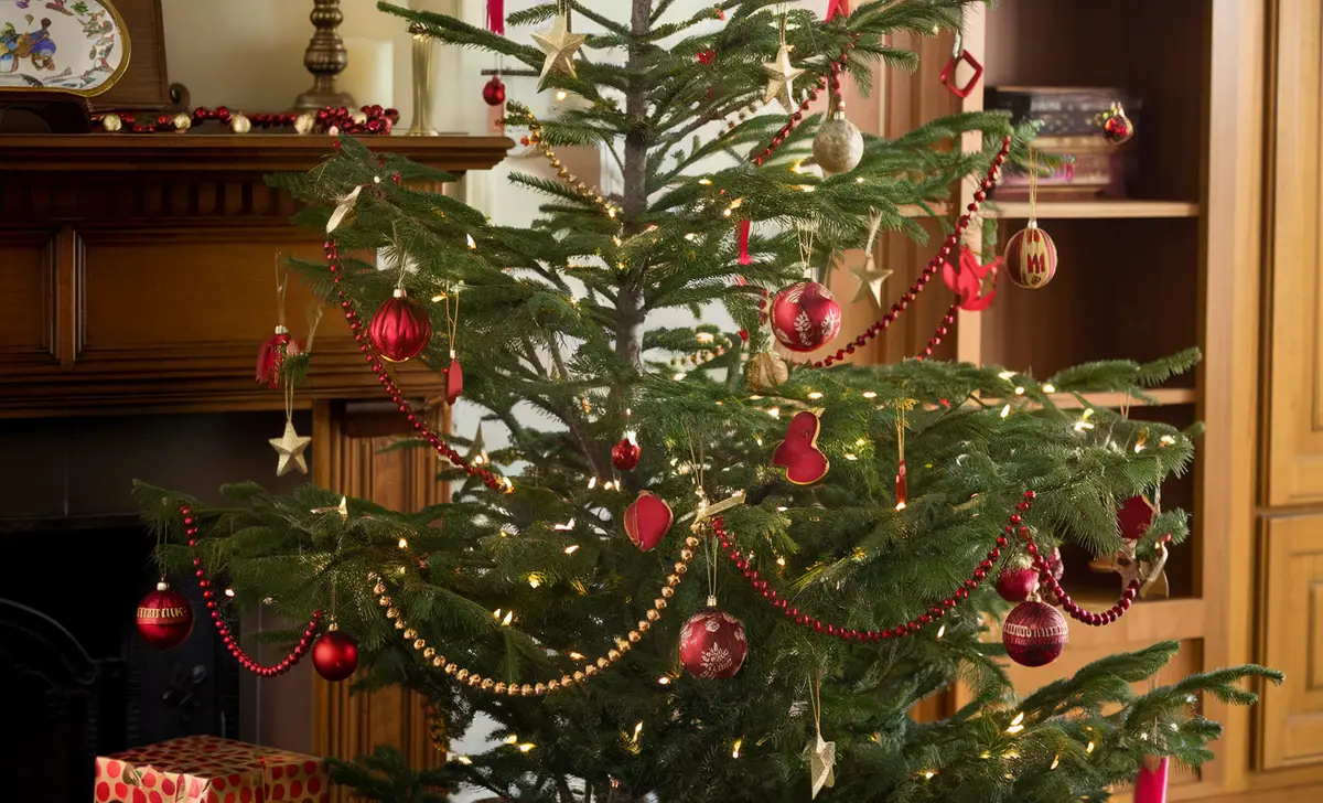 Traditional Christmas Tree Decorations