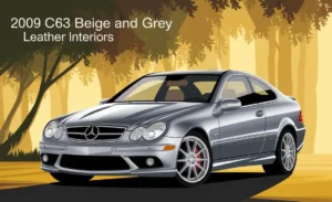 2009 C63 Beige And Grey Leather Interiors