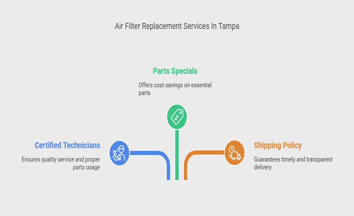 Air Filter Replacement Services In Tampa