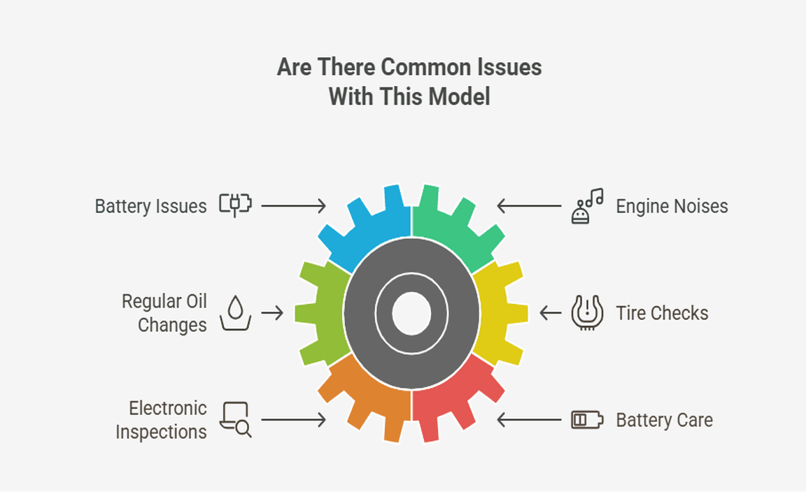 Are There Common Issues With This Model