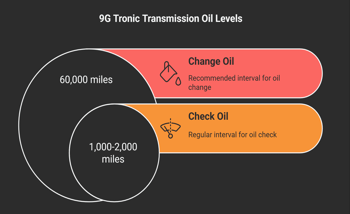 Checking And Maintaining Oil Levels For 9G Tronic Transmission