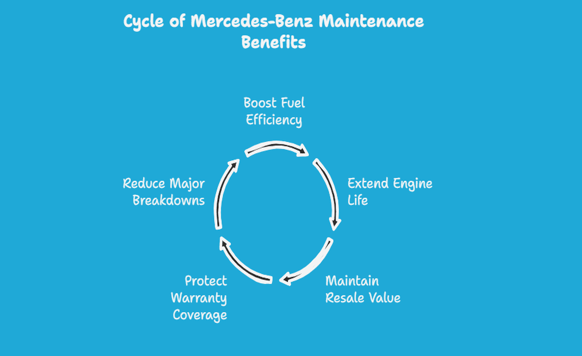 Importance Of Regular Maintenance For Mercedes-Benz