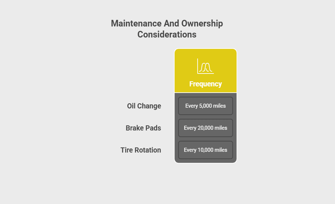 Maintenance And Ownership Considerations