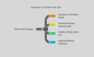 Brake Fluid Leak Solutions: Fix & Prevent Brake Problems