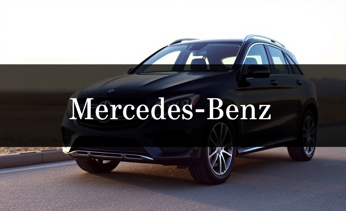 What Is A Mercedes-Benz Service Manual