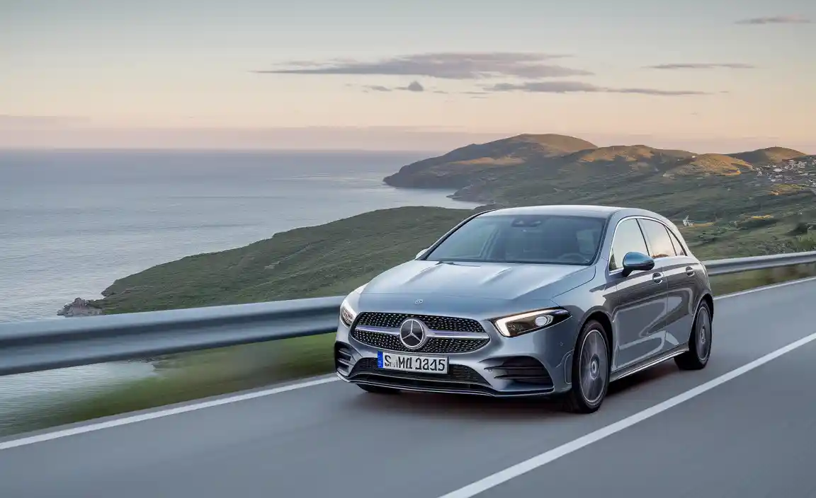 A Quick Look: What Are Plug-In Hybrids