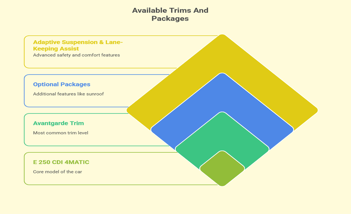 Available Trims And Packages