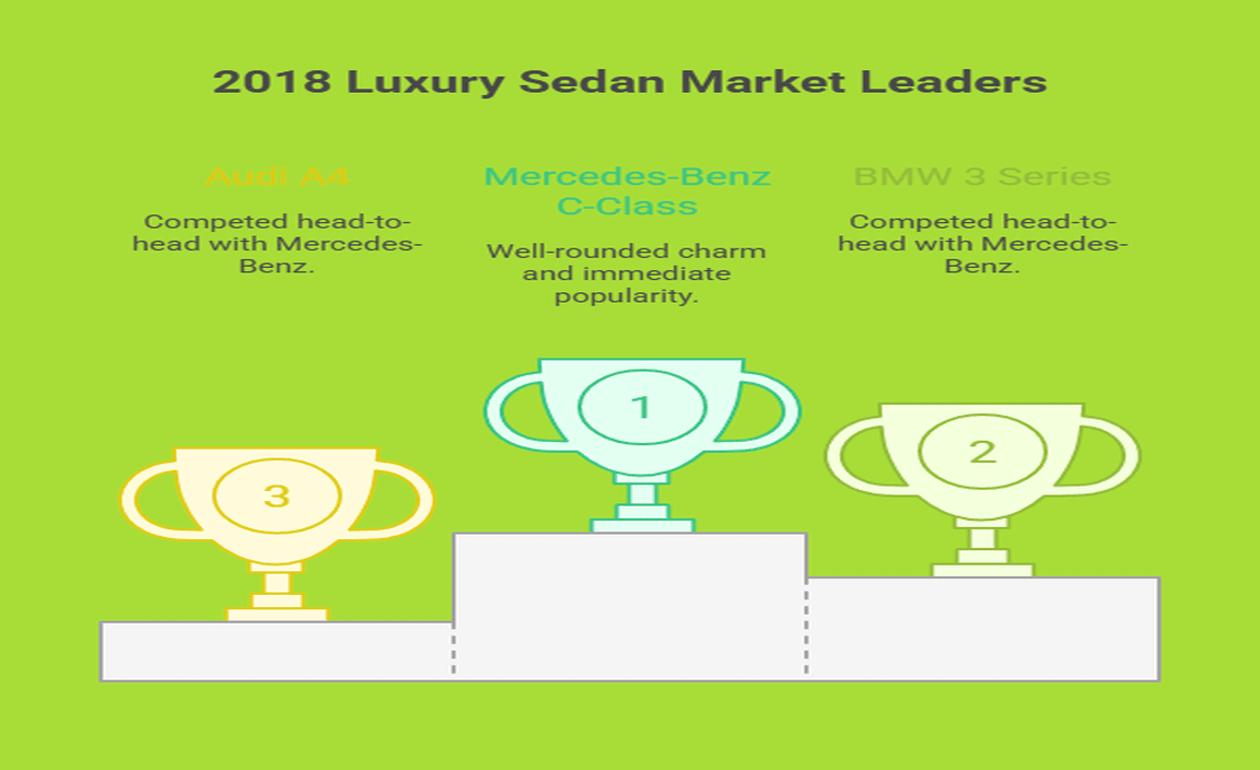 Market Position And Popularity