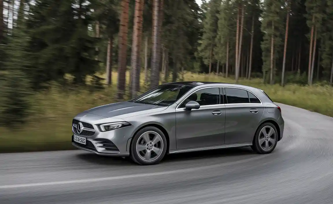 Mercedes And The Elch Test