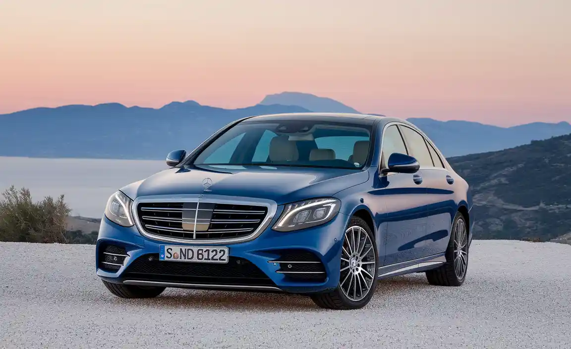 Understanding the Allure of Mercedes S Guard Crocodile Leather